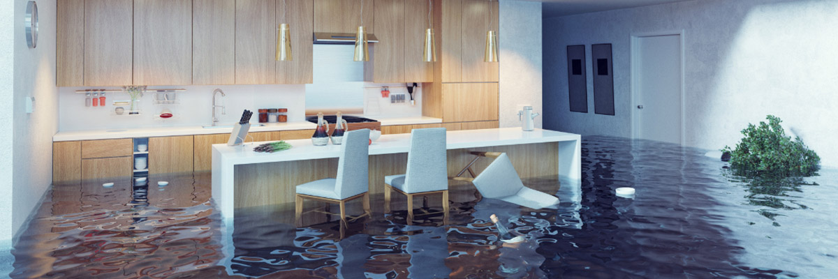 Flood-Insurance-Banner-New