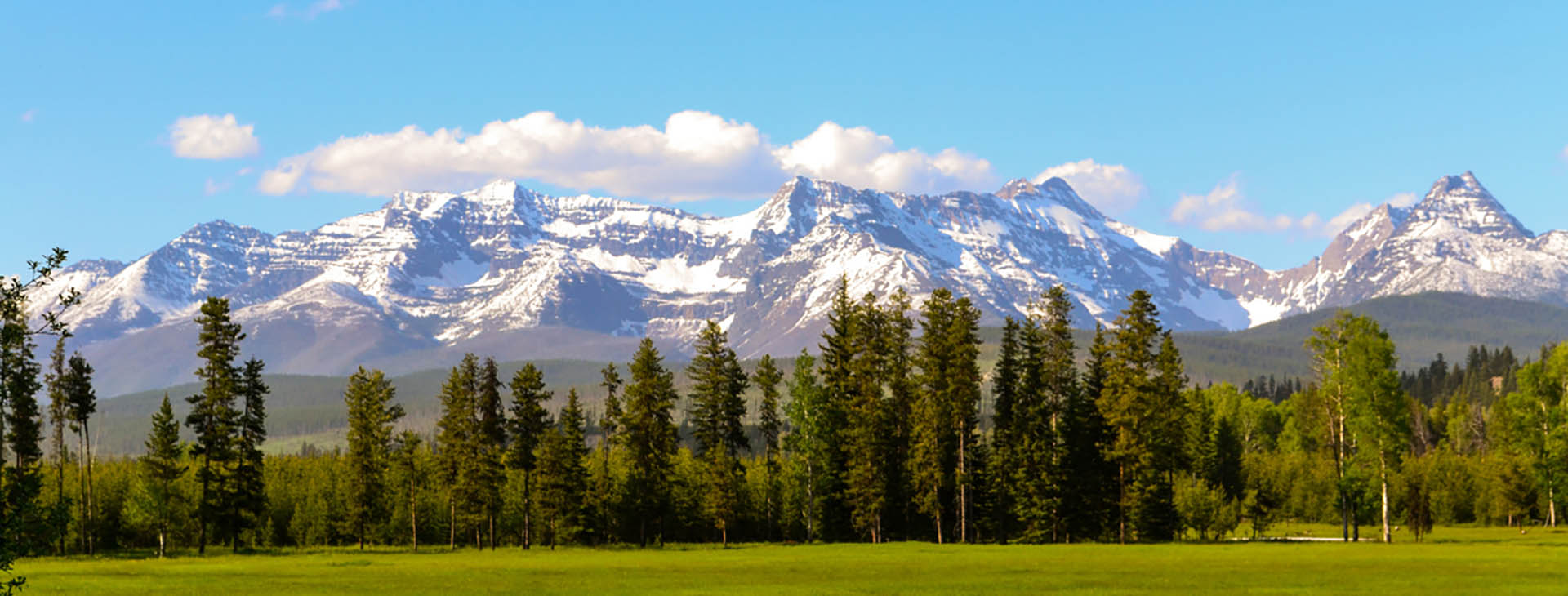 A panoramic view of a lush green meadow and a line of tall evergreen trees, with a range of majestic snow-capped mountains under a clear blue sky